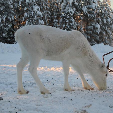 Lampsijärvi プオルッカマーン ピルティット コテージズヴィラ エクステリア 写真