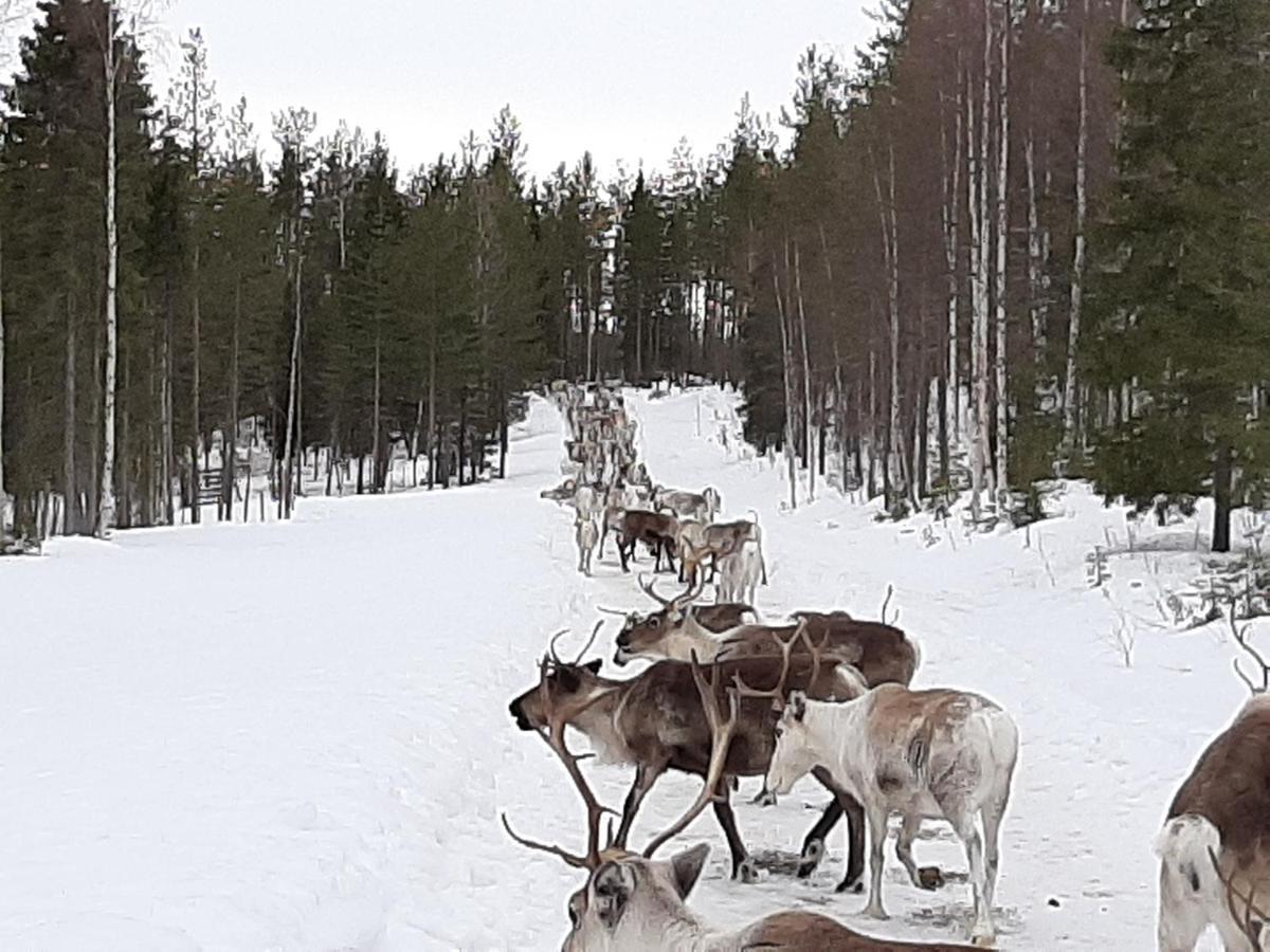 Lampsijärvi プオルッカマーン ピルティット コテージズヴィラ エクステリア 写真