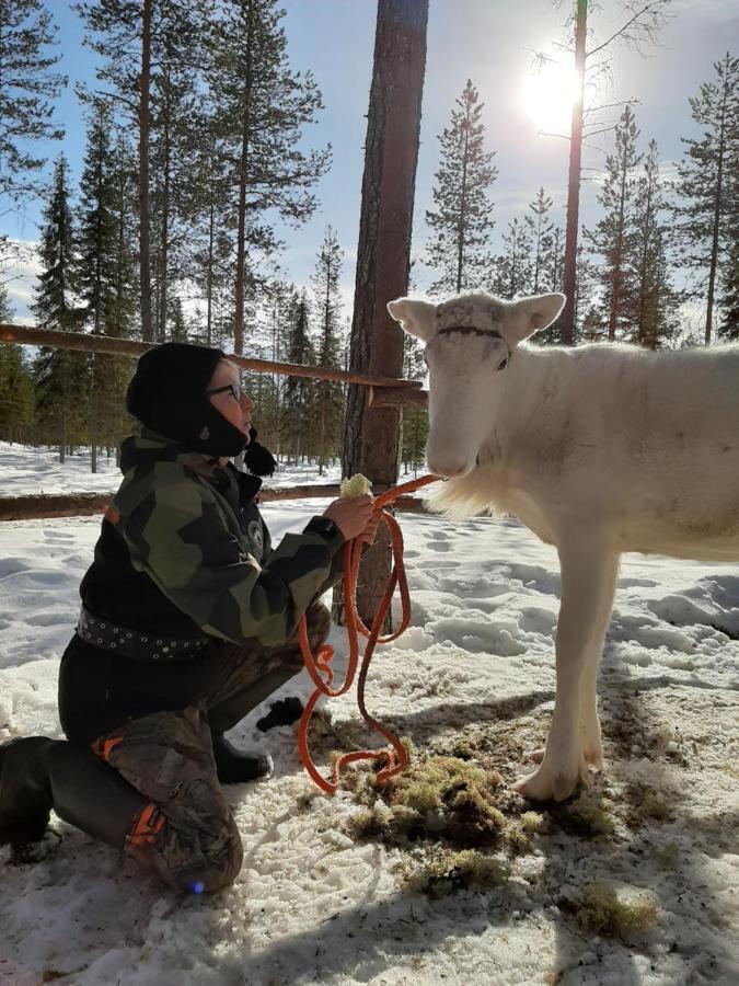 Lampsijärvi プオルッカマーン ピルティット コテージズヴィラ エクステリア 写真