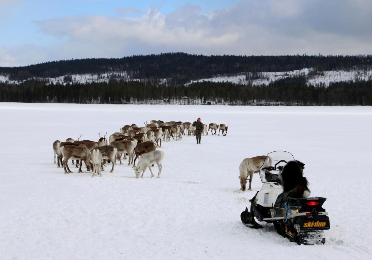 Lampsijärvi プオルッカマーン ピルティット コテージズヴィラ エクステリア 写真