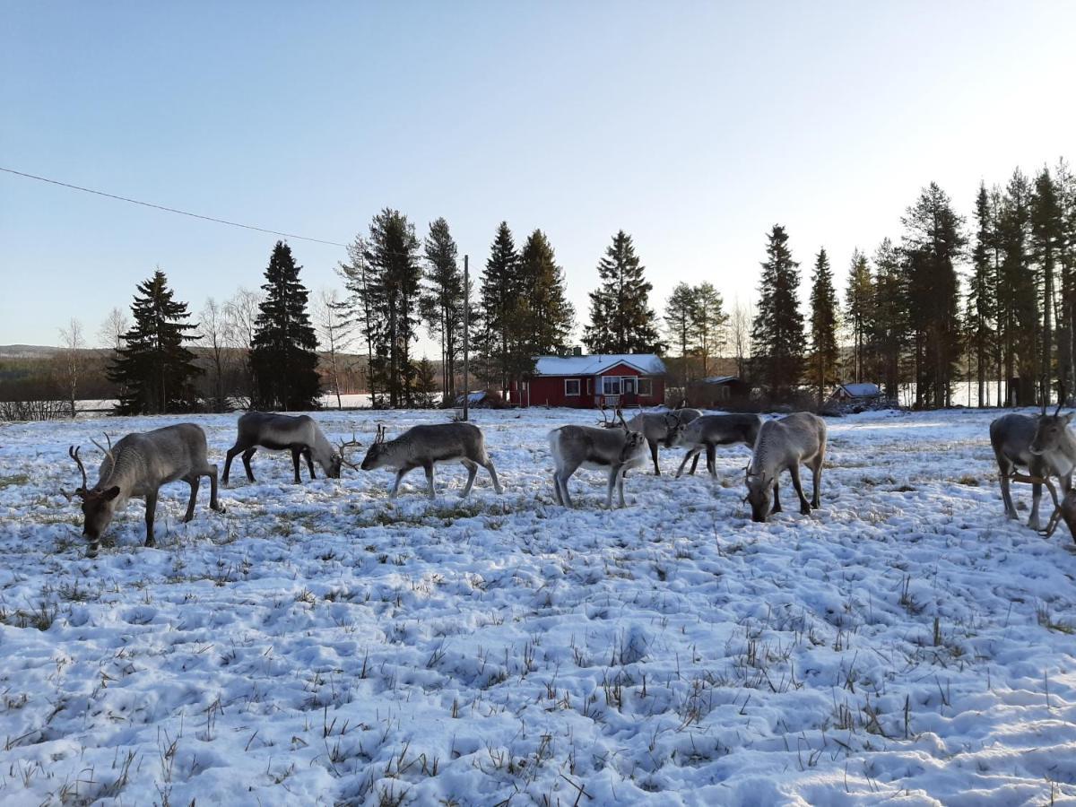 Lampsijärvi プオルッカマーン ピルティット コテージズヴィラ エクステリア 写真