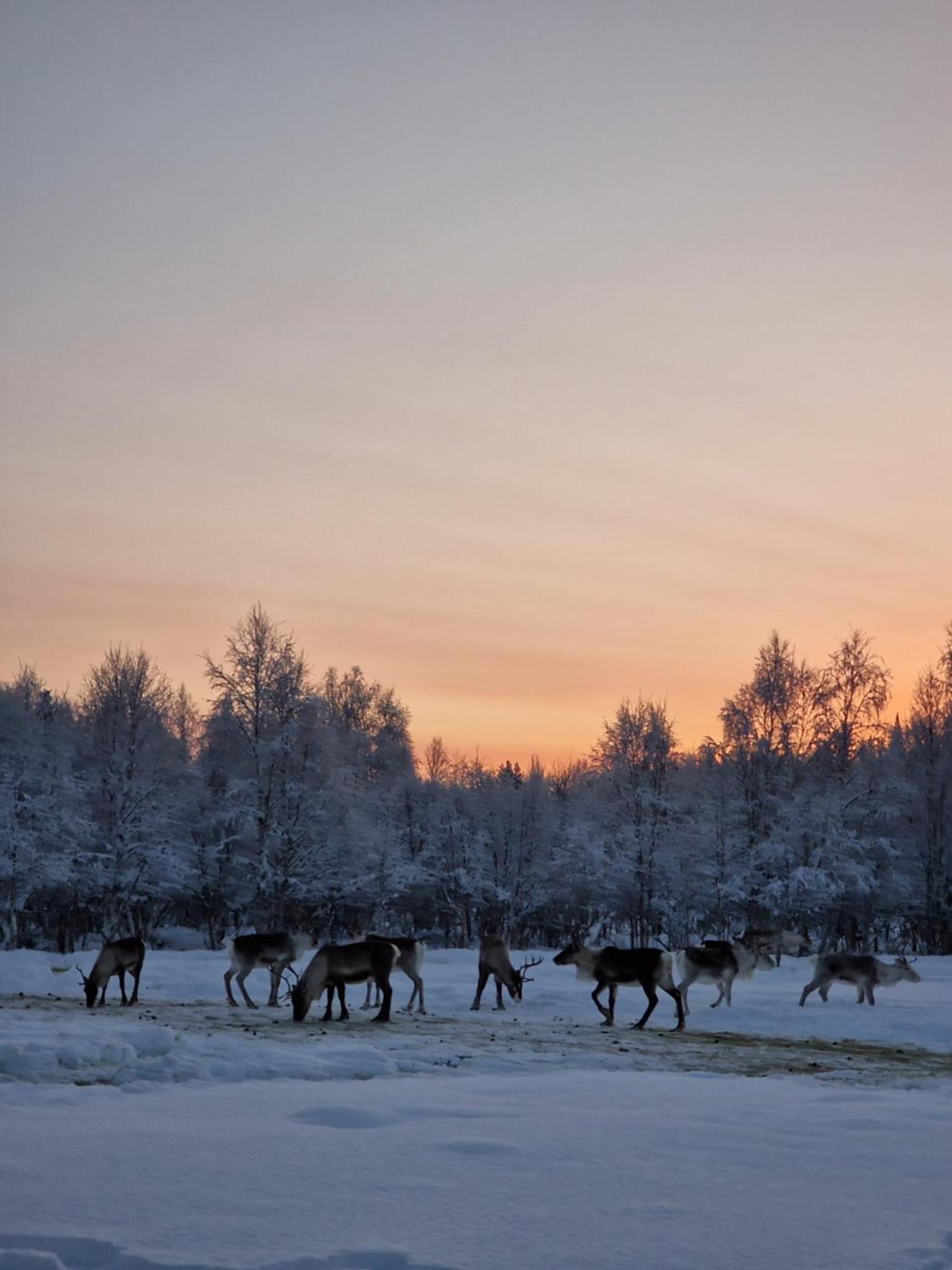 Lampsijärvi プオルッカマーン ピルティット コテージズヴィラ エクステリア 写真