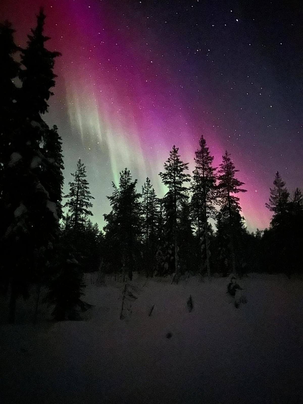 Lampsijärvi プオルッカマーン ピルティット コテージズヴィラ エクステリア 写真