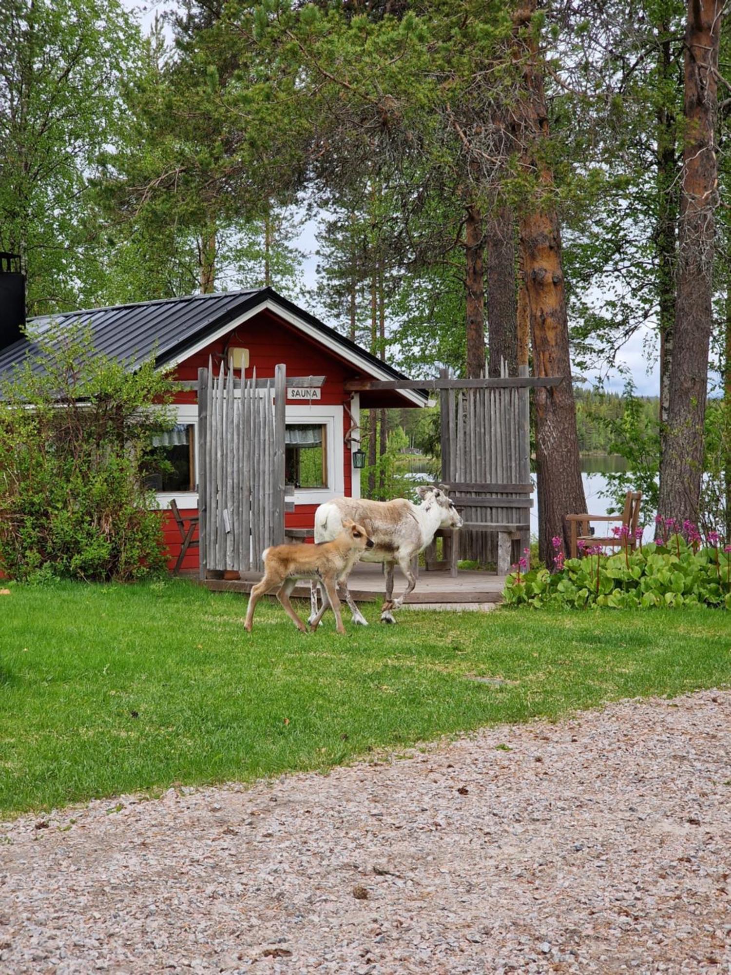 Lampsijärvi プオルッカマーン ピルティット コテージズヴィラ エクステリア 写真