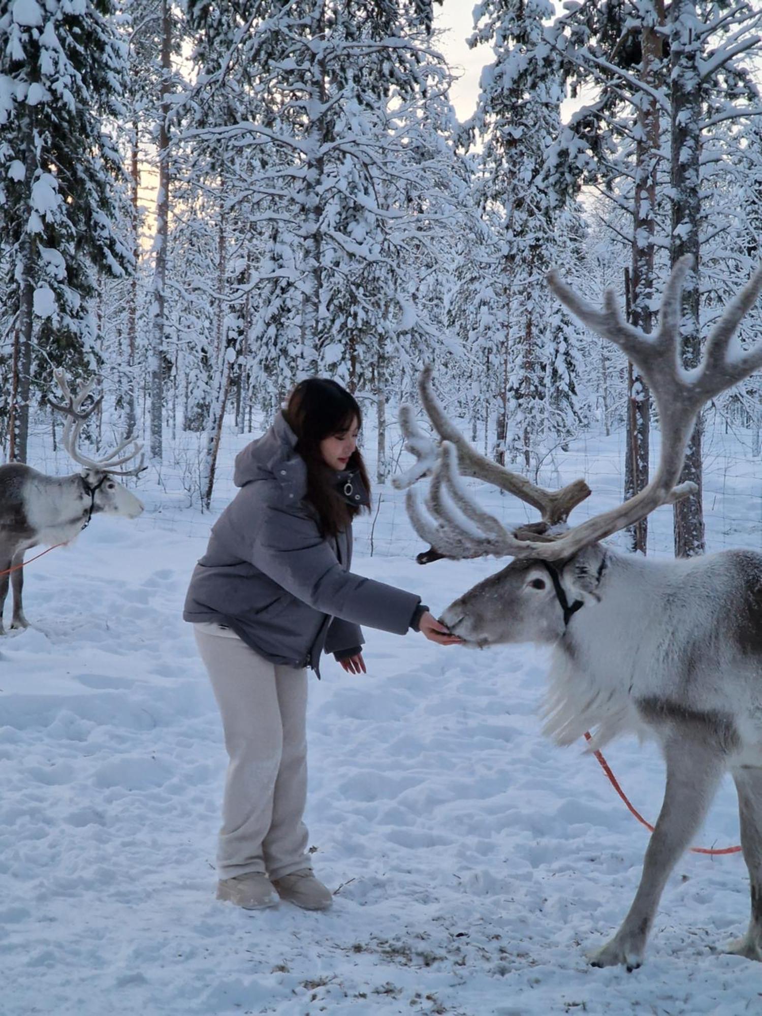 Lampsijärvi プオルッカマーン ピルティット コテージズヴィラ エクステリア 写真