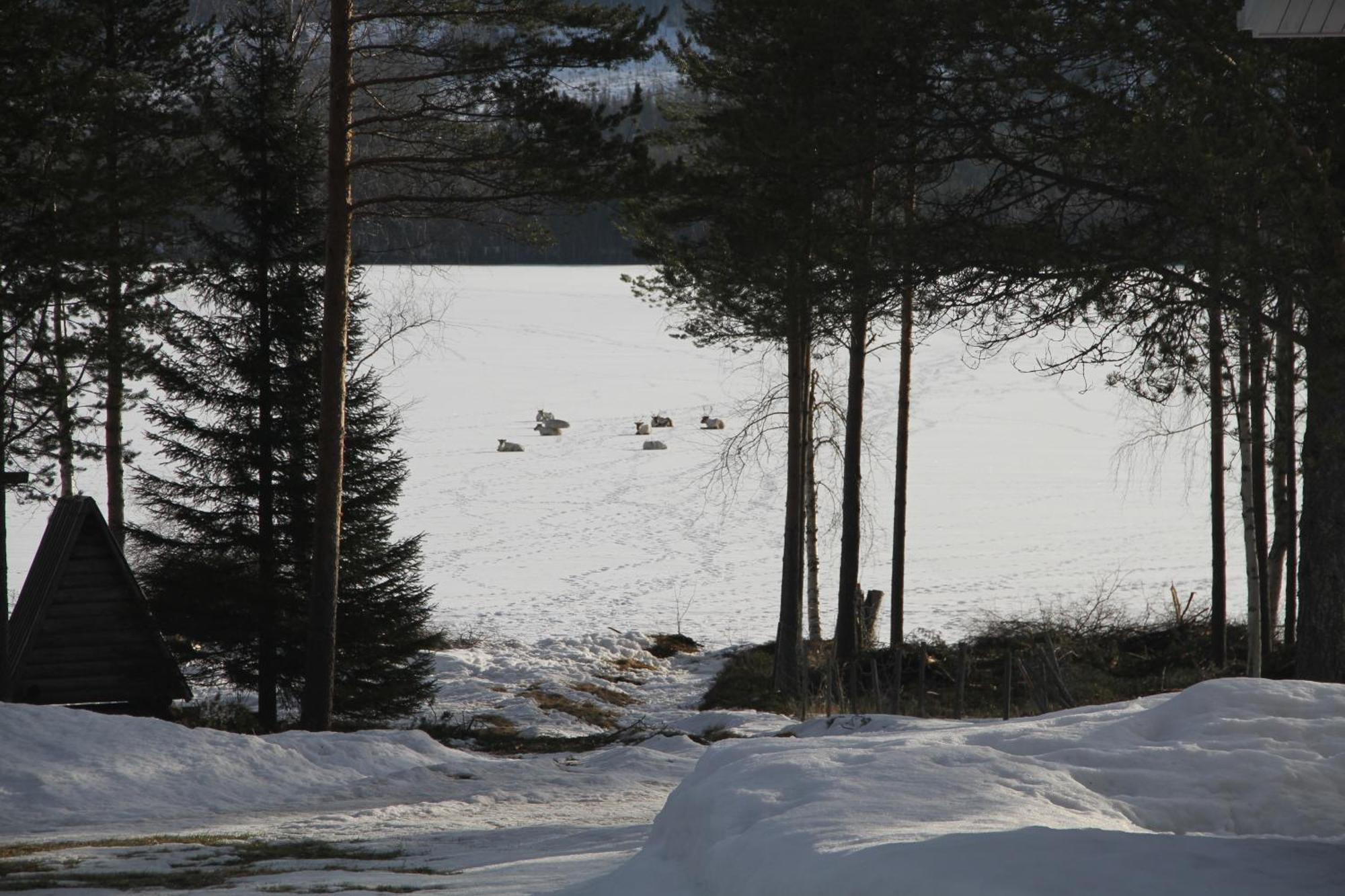 Lampsijärvi プオルッカマーン ピルティット コテージズヴィラ エクステリア 写真