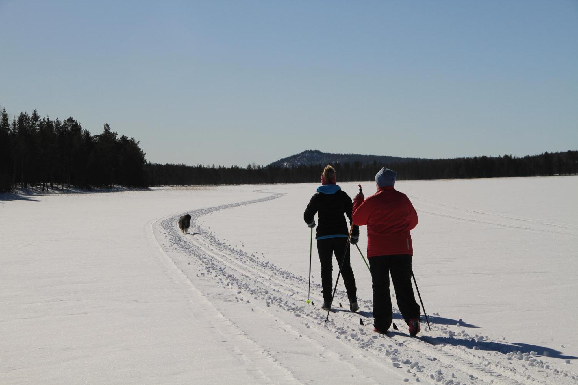 Lampsijärvi プオルッカマーン ピルティット コテージズヴィラ エクステリア 写真