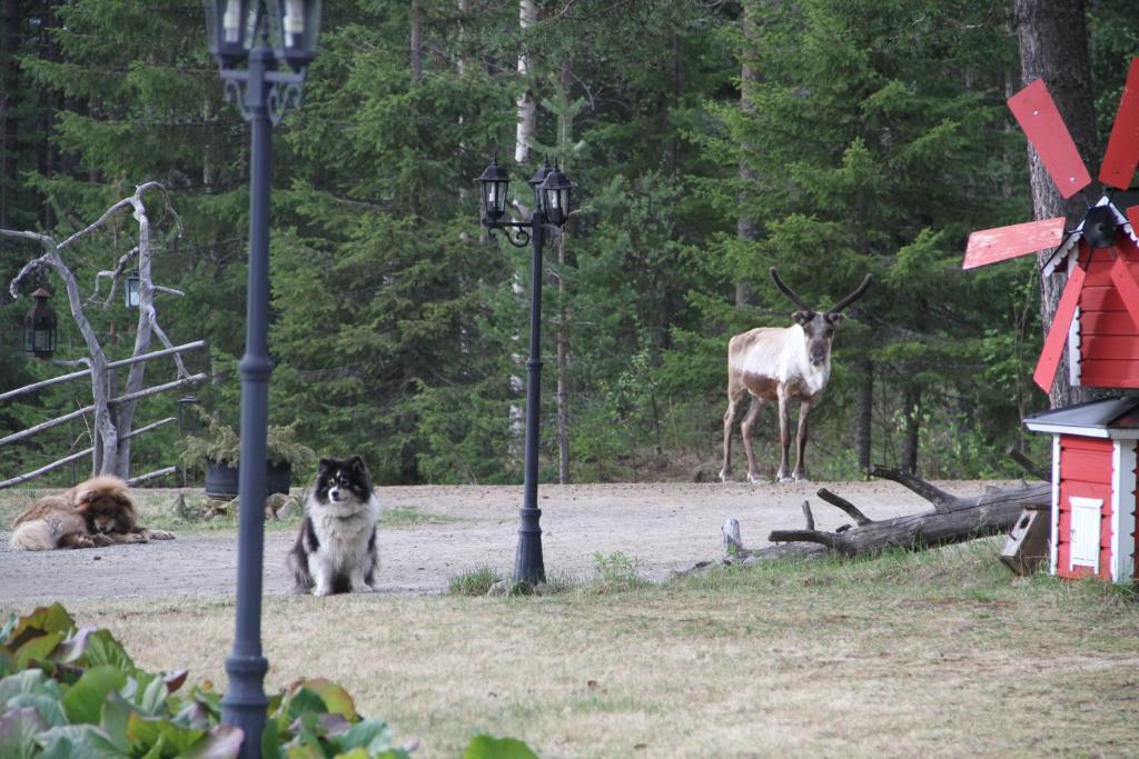 Lampsijärvi プオルッカマーン ピルティット コテージズヴィラ 部屋 写真